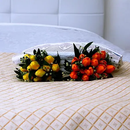 Sogno Allegro فندق مبيت وإفطار ساساري