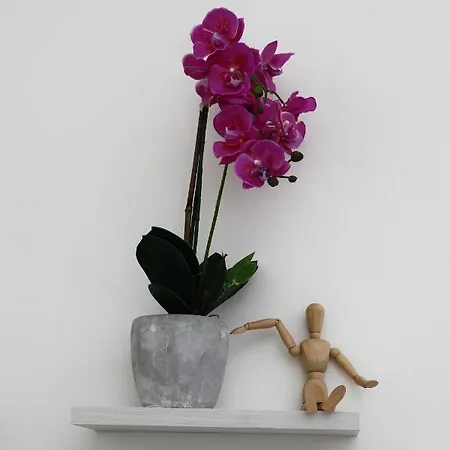 Sogno Allegro فندق مبيت وإفطار ساساري